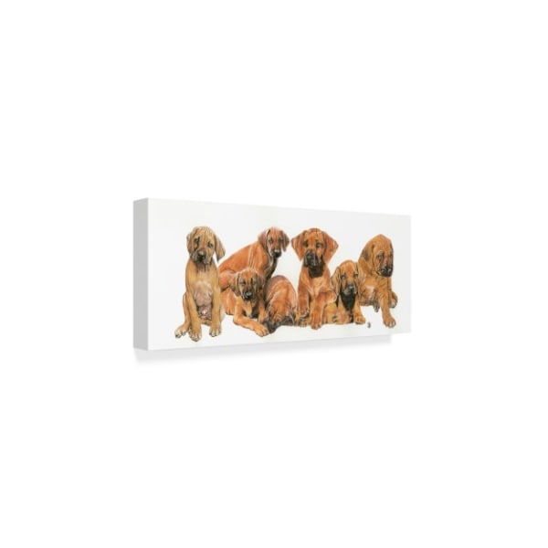 Barbara Keith 'Rhodesian Ridgeback Puppies' Canvas Art,14x32